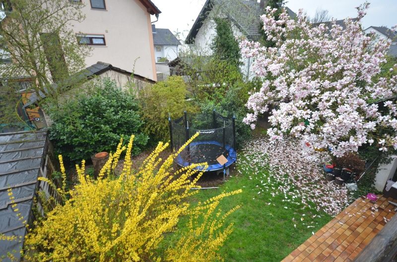 Einfamilienhaus In Grossostheim 214 M