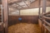 DIETZ: Reitgelände mit Stallungen für 13 Pferdeboxen auf 1,5 ha zu vermieten! Nur 20 Min von FFM! - Pferdebox