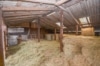DIETZ: Reitgelände mit Stallungen für 13 Pferdeboxen auf 1,5 ha zu vermieten! Nur 20 Min von FFM! - Heulager