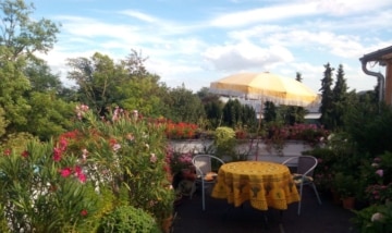 DIETZ: Wohn-, Büro-, Hallen und Geschäftshaus – genehmigte Bauvoranfrage für weiteren Bau Bestelage! - Blick Dachterrasse (628739)