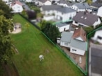 DIETZ: 3 Wohneinheiten! 1-2-Fam-Haus + Einliegerhaus im Garten - wunderschöne Waldrandlage! - Luftansicht