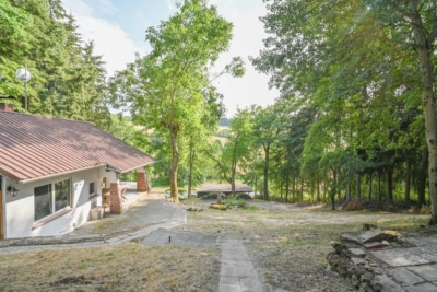 DIETZ: EFH auf einem 2.667m² großem naturnahen Grundstück in Bad König in Alleinlage. Sofort frei! - Garten (697667)
