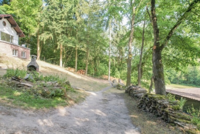 DIETZ: EFH auf einem 2.667m² großem naturnahen Grundstück in Bad König in Alleinlage. Sofort frei! - Garten (697660)