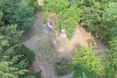 DIETZ: EFH auf einem 2.667m² großem naturnahen Grundstück in Bad König in Alleinlage. Sofort frei! - Außenansicht (697670)
