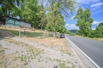 DIETZ: EFH auf einem 2.667m² großem naturnahen Grundstück in Bad König in Alleinlage. Sofort frei! - Einfahrt (697674)