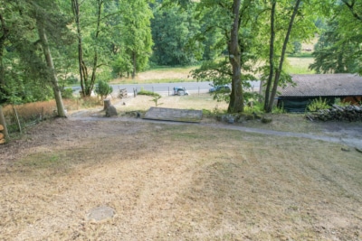 DIETZ: EFH auf einem 2.667m² großem naturnahen Grundstück in Bad König in Alleinlage. Sofort frei! - Garten (697672)