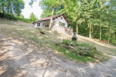 DIETZ: EFH auf einem 2.667m² großem naturnahen Grundstück in Bad König in Alleinlage. Sofort frei! - Außenansicht (697661)
