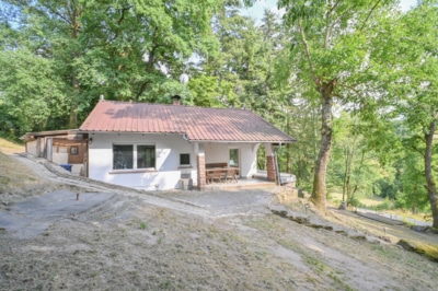 DIETZ: EFH auf einem 2.667m² großem naturnahen Grundstück in Bad König in Alleinlage. Sofort frei! - Außenansicht (697664)