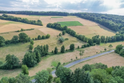 DIETZ: EFH auf einem 2.667m² großem naturnahen Grundstück in Bad König in Alleinlage. Sofort frei! - Umfeld (697680)
