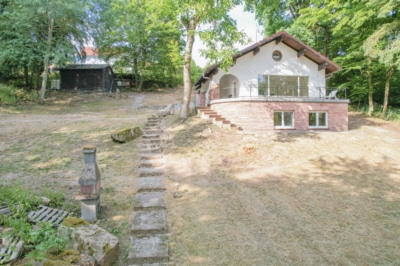 DIETZ: EFH auf einem 2.667m² großem naturnahen Grundstück in Bad König in Alleinlage. Sofort frei! - Außenansicht (697671)
