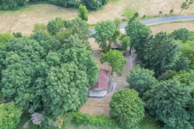 DIETZ: EFH auf einem 2.667m² großem naturnahen Grundstück in Bad König in Alleinlage. Sofort frei! - Außenansicht Grundstück (697677)