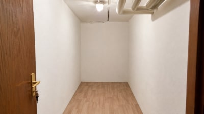 DIETZ: 3-Zimmerwohnung im Erdgeschoss mit zwei TG-Stellplätzen und Kellerraum! - Kellerraum (697166)