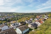 DIETZ: Großzügiges 1-2 Familienhaus mit 2 Nebengebäuden auf 2548 m² großem Grundstück! - Luftbild Lützelbach
