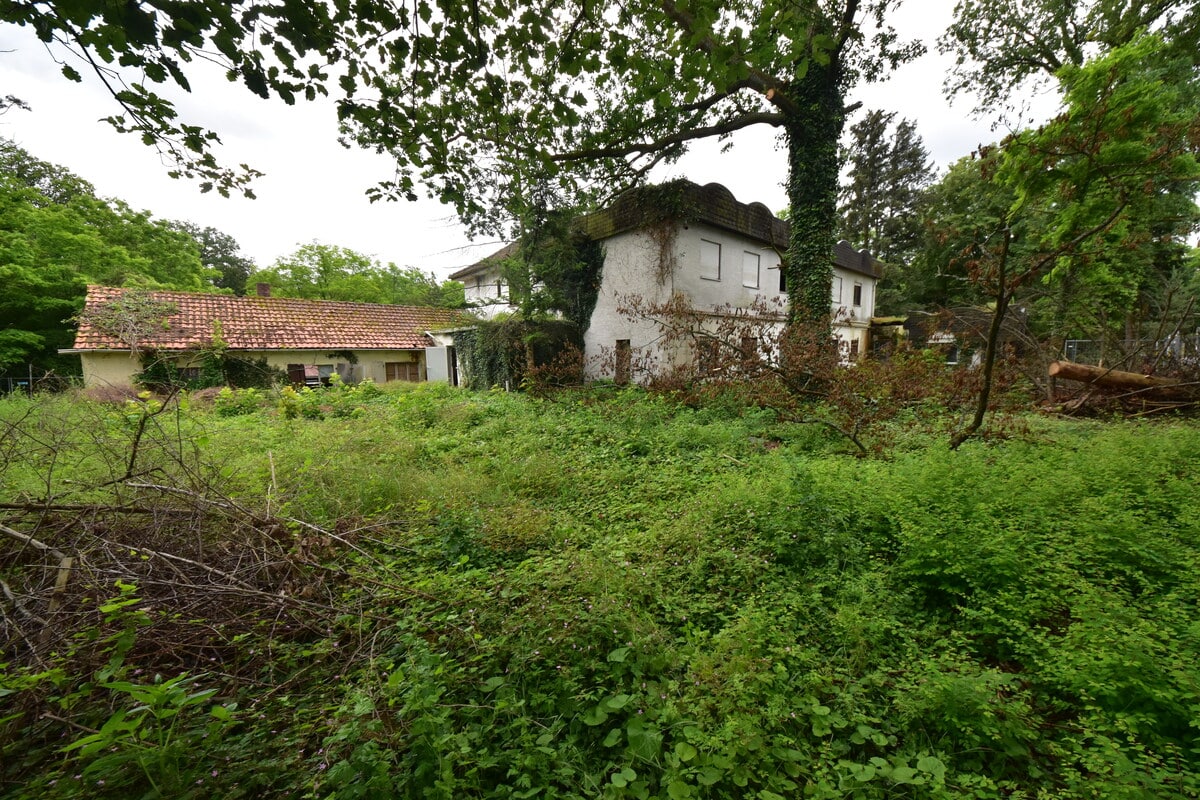 Gebäude im Mischgebiet