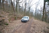 DIETZ: Waldgrundstück auf alter Weinbergsbrache zu verkaufen! - Waldgrundstück läuft über Straße