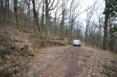 DIETZ: Waldgrundstück auf alter Weinbergsbrache zu verkaufen! - Eine Art Wendehammer