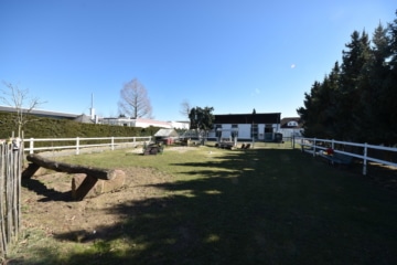 DIETZ: **RESERVIERT** Platz Für Ross und Reiter! Wohnhaus + Gewerbegebäude mit 6 Pferdestallungen! - Reitplatz (644073)