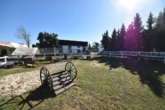 400qm Reitplatz - DIETZ: Platz Für Ross und Reiter! Wohnhaus + Gewerbegebäude mit 6 Pferdestallungen! In Feldrandnähe!