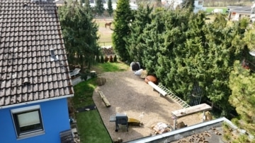 DIETZ: **RESERVIERT** Platz Für Ross und Reiter! Wohnhaus + Gewerbegebäude mit 6 Pferdestallungen! - Grillplatz hinter Wohnhaus (644089)