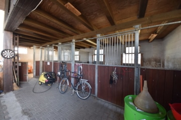 DIETZ: **RESERVIERT** Platz Für Ross und Reiter! Wohnhaus + Gewerbegebäude mit 6 Pferdestallungen! - Pferdeställe mit Winterpaddock (644110)