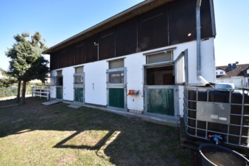 DIETZ: **RESERVIERT** Platz Für Ross und Reiter! Wohnhaus + Gewerbegebäude mit 6 Pferdestallungen! - Stallungen mit Winterpaddockmöglichkeit (644112)