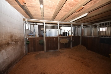 DIETZ: **RESERVIERT** Platz Für Ross und Reiter! Wohnhaus + Gewerbegebäude mit 6 Pferdestallungen! - Pferdestall 2  von 5-6 6 (644115)