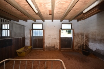 DIETZ: **RESERVIERT** Platz Für Ross und Reiter! Wohnhaus + Gewerbegebäude mit 6 Pferdestallungen! - Pferdestall 2 von 5-6 6 (644116)