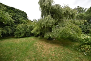 DIETZ: Wohn-und Geschäftshaus mit 817,73 qm Gesamtfläche! Genehmigte Bauvoranfrage für weiteren Bau! - Garten (644237)