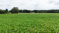 Ackerlandfläche - DIETZ: Ackerlandfläche zwischen Harpertshausen, Altheim und Richen zu verkaufen