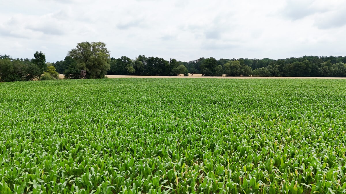 Ackerlandfläche