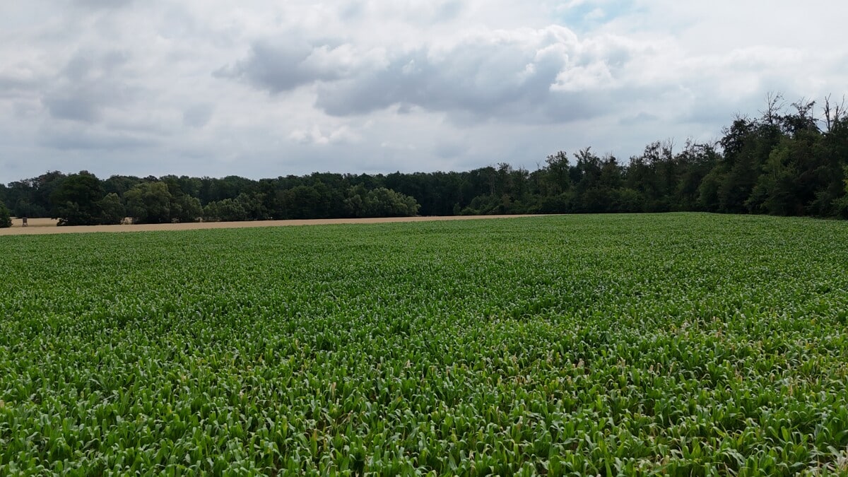 Ackerlandfläche
