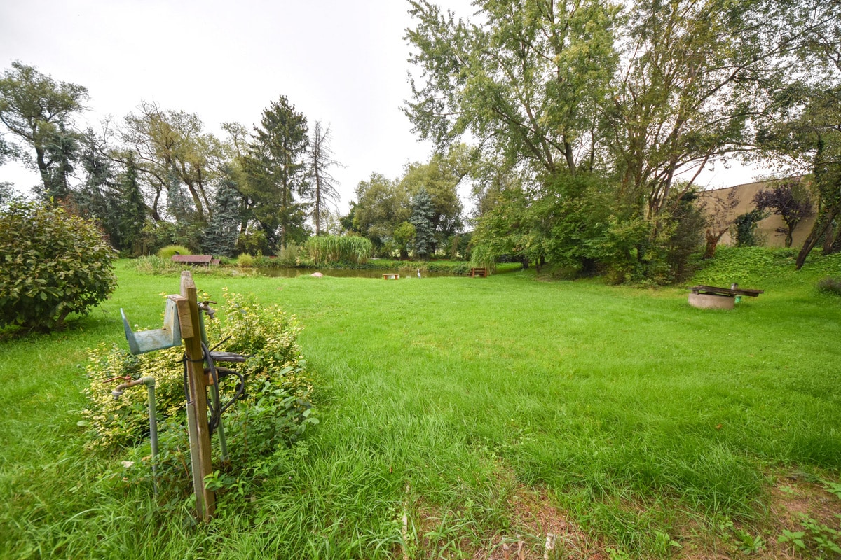 Blick in den Garten
