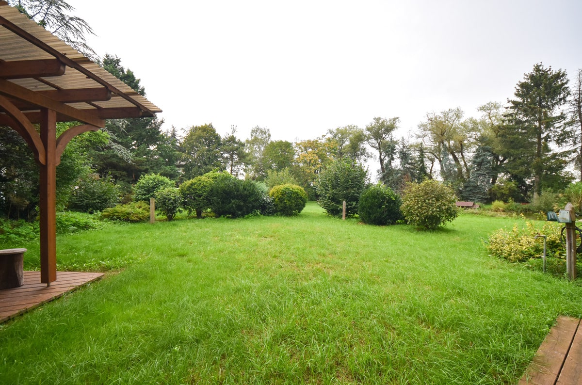 Blick in den Garten