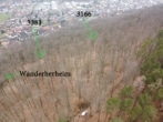 DIETZ: Waldgrundstück auf alter Weinbergsbrache zu verkaufen! - Luftbild