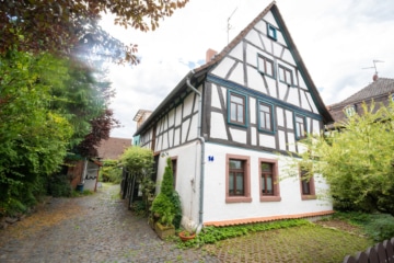 DIETZ: REDUZIERT! Charmantes 2-3 Familienhaus mit viel Platz in Münster/Altheim – Einzelkulturdenkmal! - Außenansicht (635970)