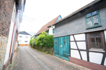 DIETZ: REDUZIERT! Charmantes 2-3 Familienhaus mit viel Platz in Münster/Altheim – Einzelkulturdenkmal! - Außenansicht (635969)