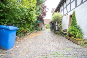 DIETZ: REDUZIERT! Charmantes 2-3 Familienhaus mit viel Platz in Münster/Altheim – Einzelkulturdenkmal! - Außenbereich (635966)