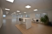 DIETZ: Hochwertige Büro- und Praxisetage im Gewerbegebiet von Erlenbach zu vermieten! - Büro Praxisfläche 2
