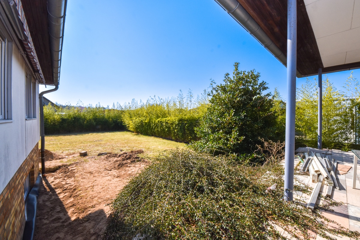Blick in den Garten