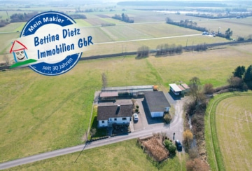 DIETZ: Aussiedlerhof mit großzügigem Wohnhaus und Nebengebäuden in Babenhausen auf über 1,1 ha! - Luftansicht (665667)