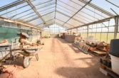 Gewächshaus - DIETZ: Aussiedlerhof mit großzügigem Wohnhaus und Nebengebäuden in Babenhausen auf über 1,1 ha!