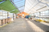 Gewächshaus - DIETZ: Aussiedlerhof mit großzügigem Wohnhaus und Nebengebäuden in Babenhausen auf über 1,1 ha!