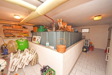 DIETZ: Aussiedlerhof mit großzügigem Wohnhaus und Nebengebäuden in Babenhausen auf über 1,1 ha! - Tankraum UG (665714)