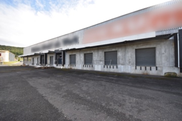 DIETZ: Provisionsfrei 4,- VHB pro qm – Niedrige Nebenkosten! Logistikhalle bis zu 800 kVA Strom - 12 Rolltore (633810)