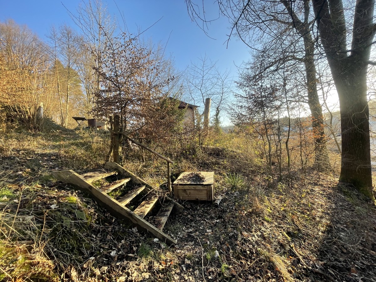 Waldfläche