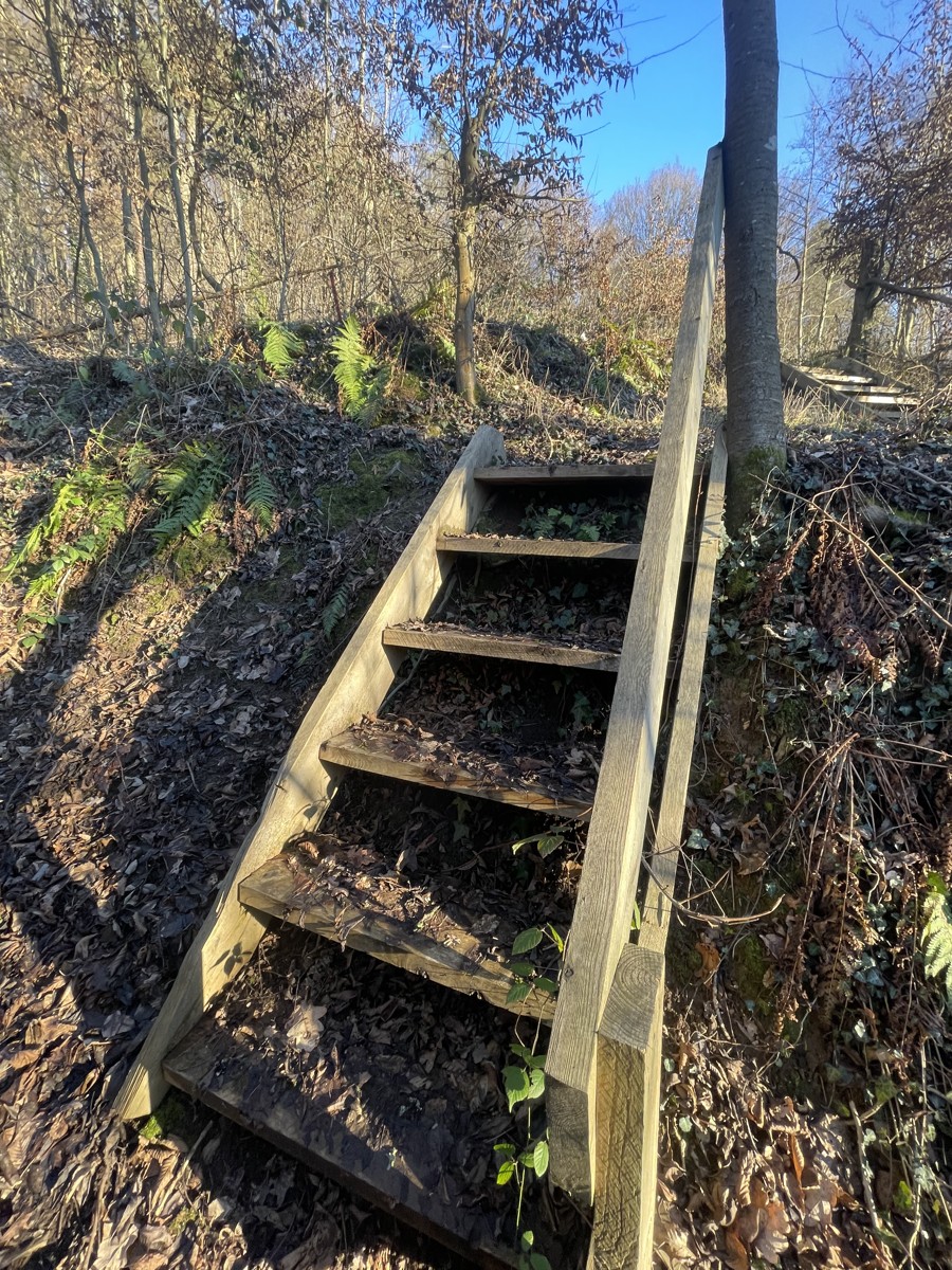 Waldfläche
