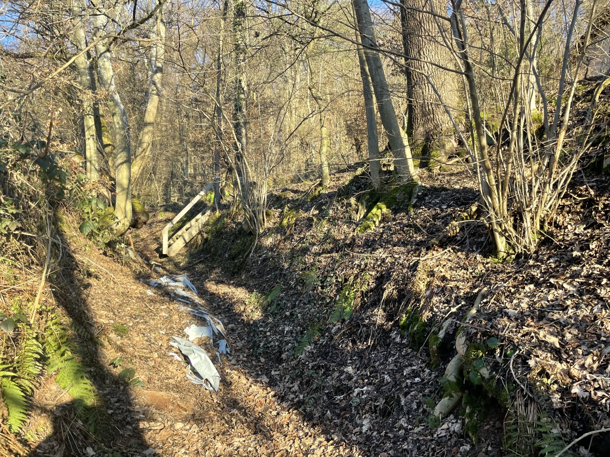 Zugang Waldgrundstück