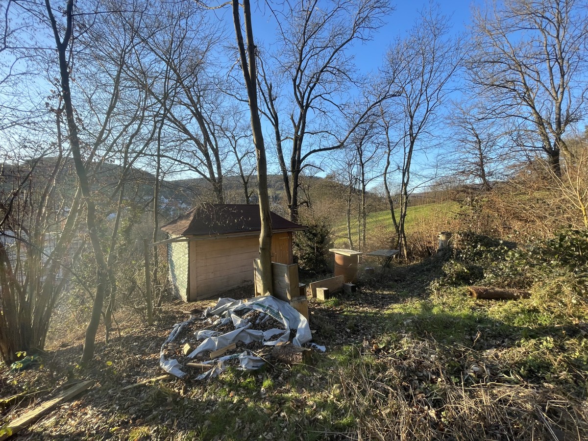 Genehmigte Waldhütte