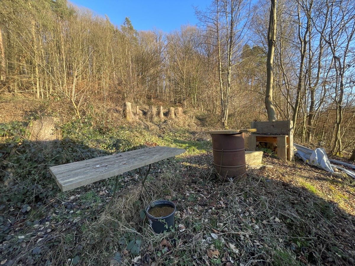 Waldflächee