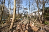 Waldgrundstück - DIETZ: Junges Familienhaus mit 837 m² großen, idyllischen Waldgrundstück in Laufach!